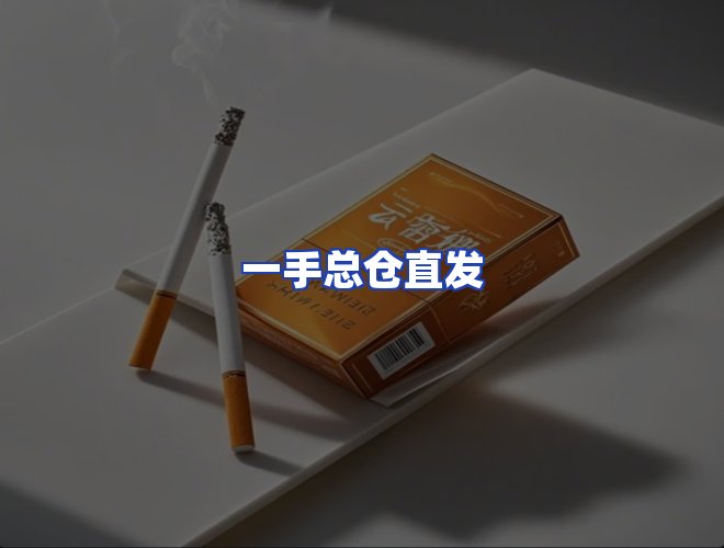 专业团队